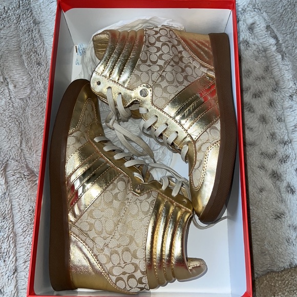 GOLDEN AND KHAKI - Picture 5 of 5